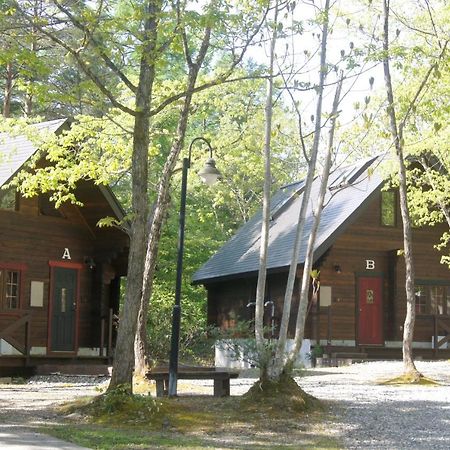 白马布朗尼别墅及公寓酒店 白马村 外观 照片