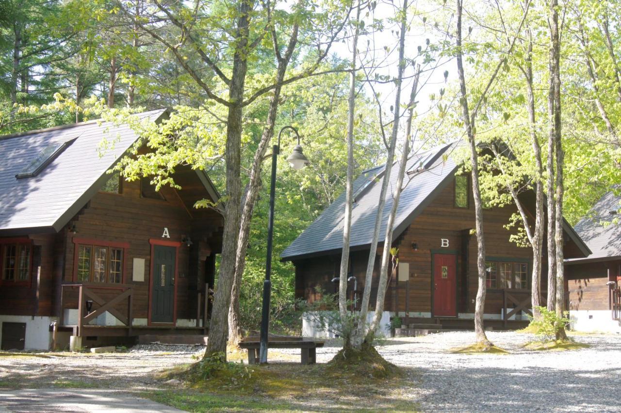 白马布朗尼别墅及公寓酒店 白马村 外观 照片